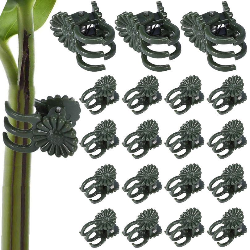 Plant Parent Tools - 20/50/100 pz Clip per piante morsetto