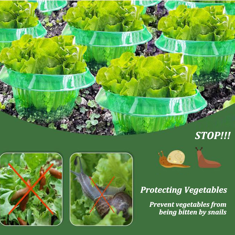 5-25 pezzi piante limace anell - Plant Parent Tools recensione e prezzo