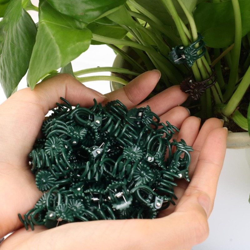 Clip di Supporto Mini per Pian - Plant Parent Tools recensione e prezzo