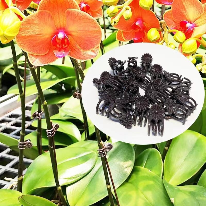 Clip di Supporto Mini per Pian - Plant Parent Tools recensione e prezzo