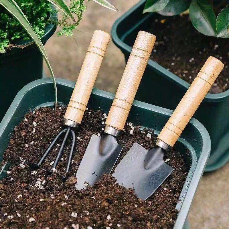 3PC/1Set Mini Attrezzi da giar - Plant Parent Tools recensione e prezzo