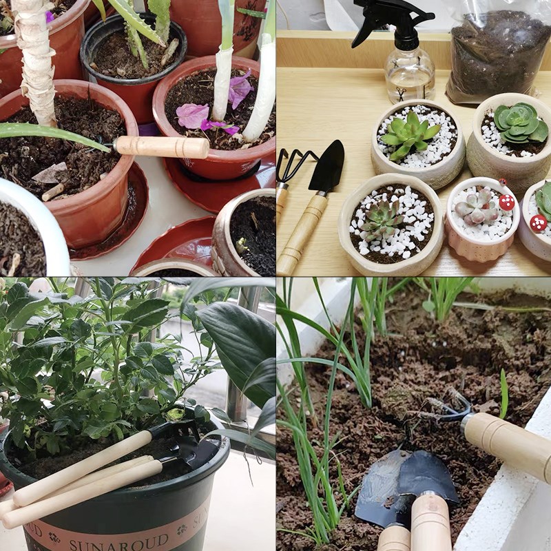 3PC/1Set Mini Attrezzi da giar - Plant Parent Tools recensione e prezzo