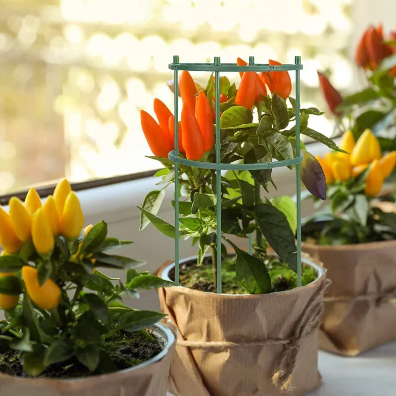 Supporto per piante in plastic - Plant Parent Tools recensione e prezzo