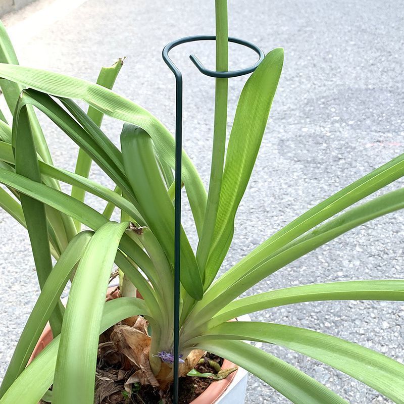 1-10 pezzi in metallo a stelo  - Plant Parent Tools recensione e prezzo