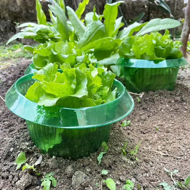 Anelli di protezione per lumac - Plant Parent Tools recensione e prezzo
