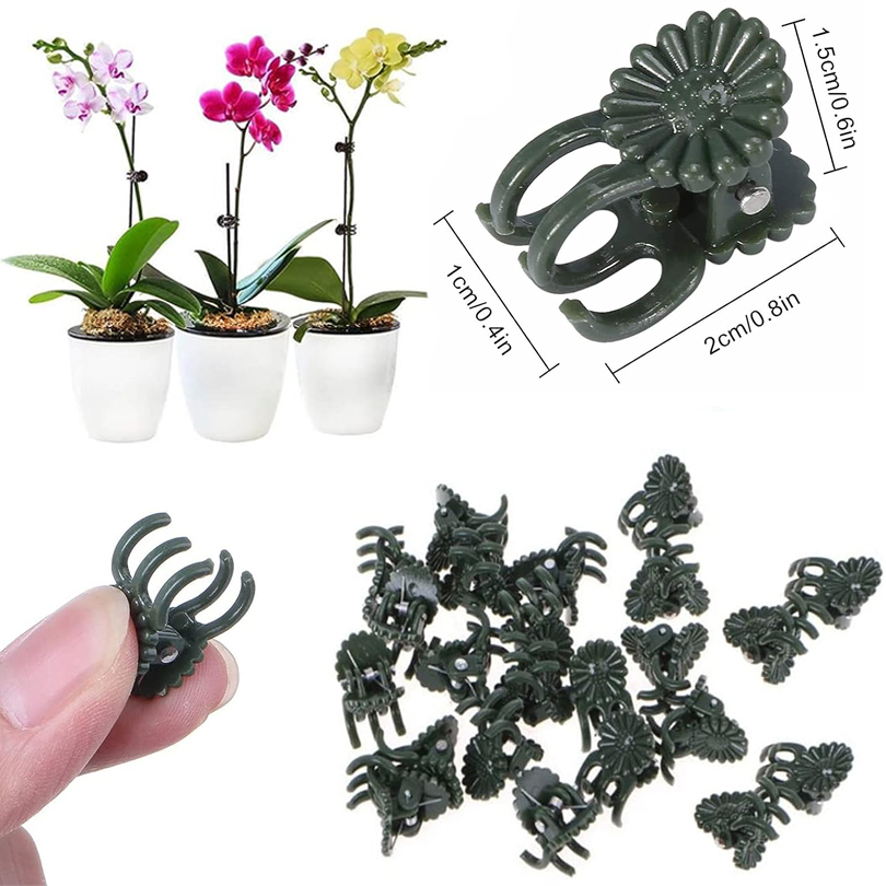 20/50/100 pz Clip per piante m - Plant Parent Tools recensione e prezzo
