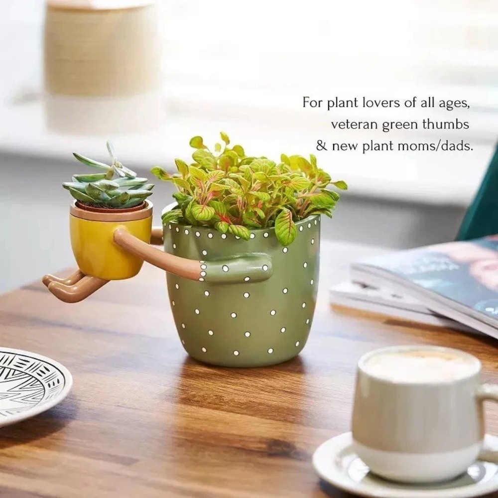 Vaso per Piante Succulente Dec - Parent Of Plant recensione e prezzo